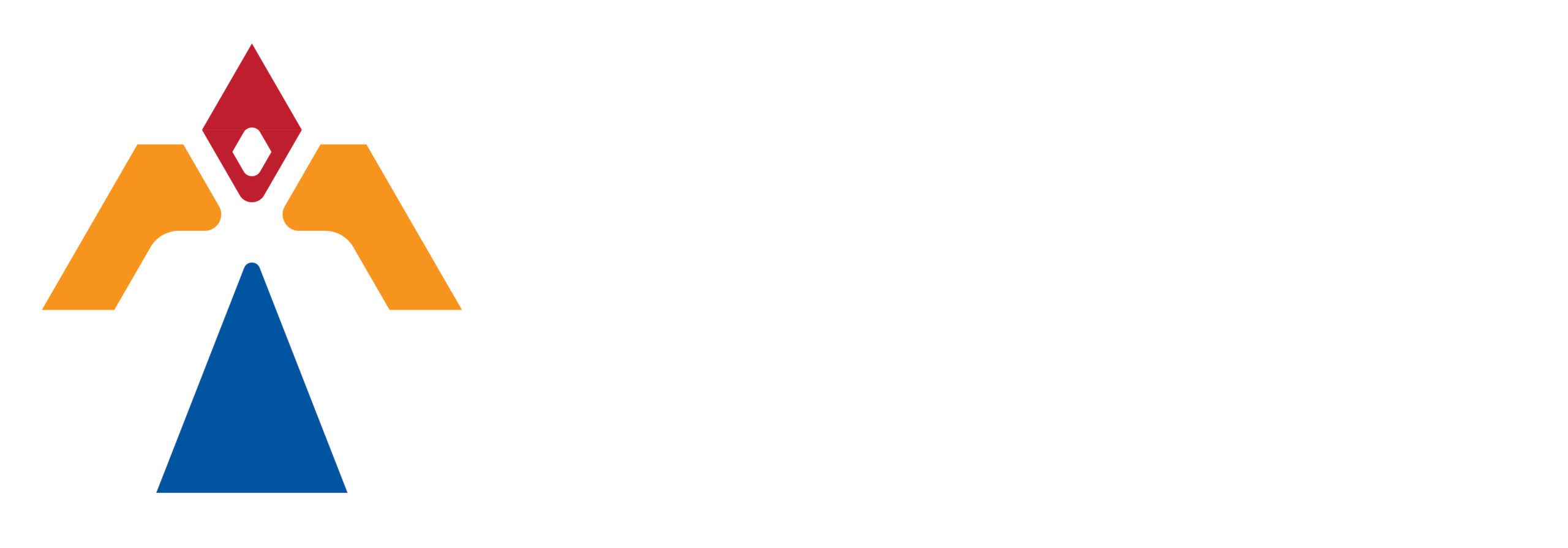 logo confederacion footer